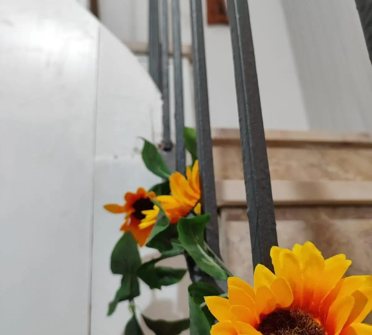 Casa Vacanze Con Giardino I Girasoli - Cin It 09006 - 9 C 2000 R4042- Sorso